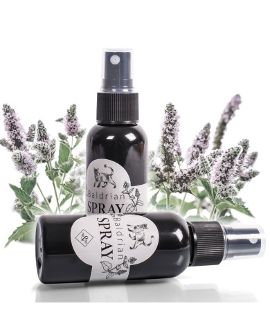 Baldrian Spray Premium Geschenkbox