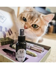Baldrian Spray Premium Geschenkbox