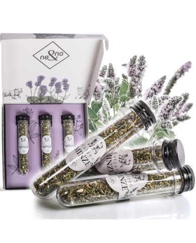 Katzenminze 3er Set in Geschenkbox