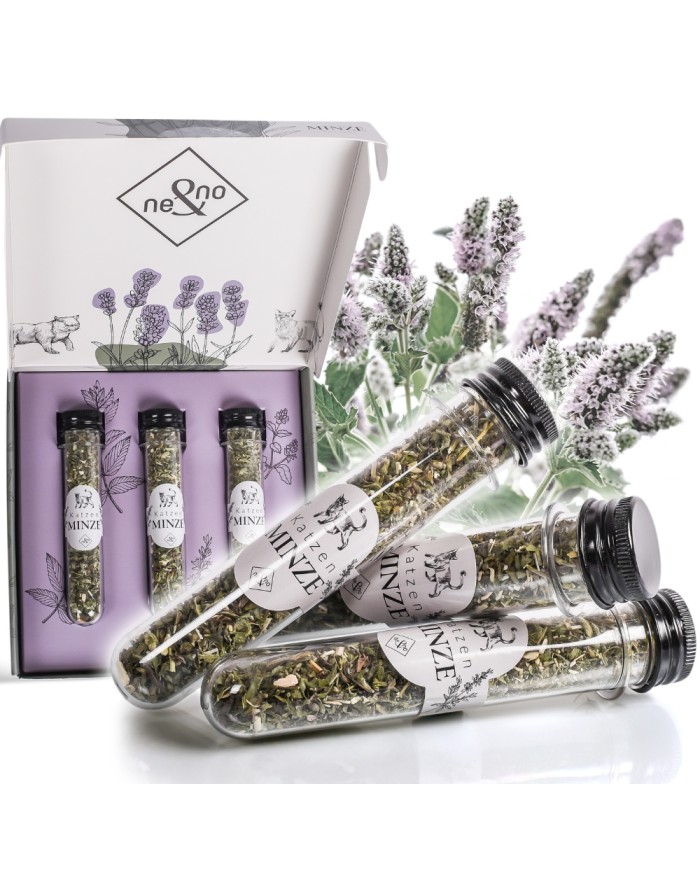 Katzenminze 3er Set in Geschenkbox