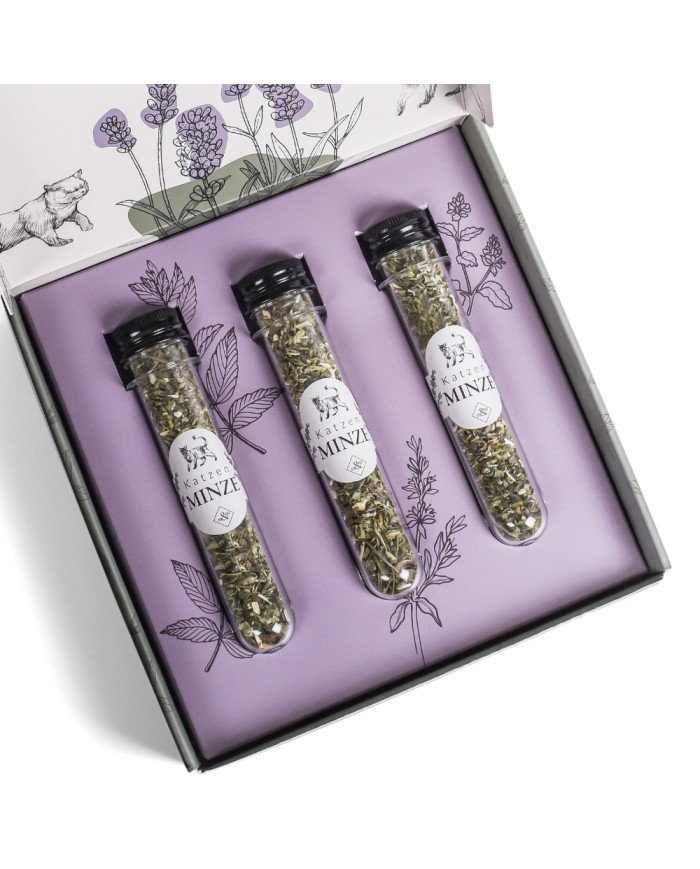 Katzenminze 3er Set in Geschenkbox