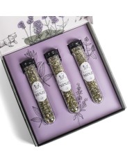 Katzenminze 3er Set in Geschenkbox