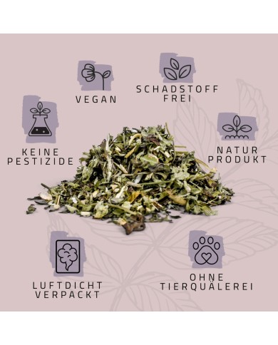 Katzenminze 3er Set in Geschenkbox