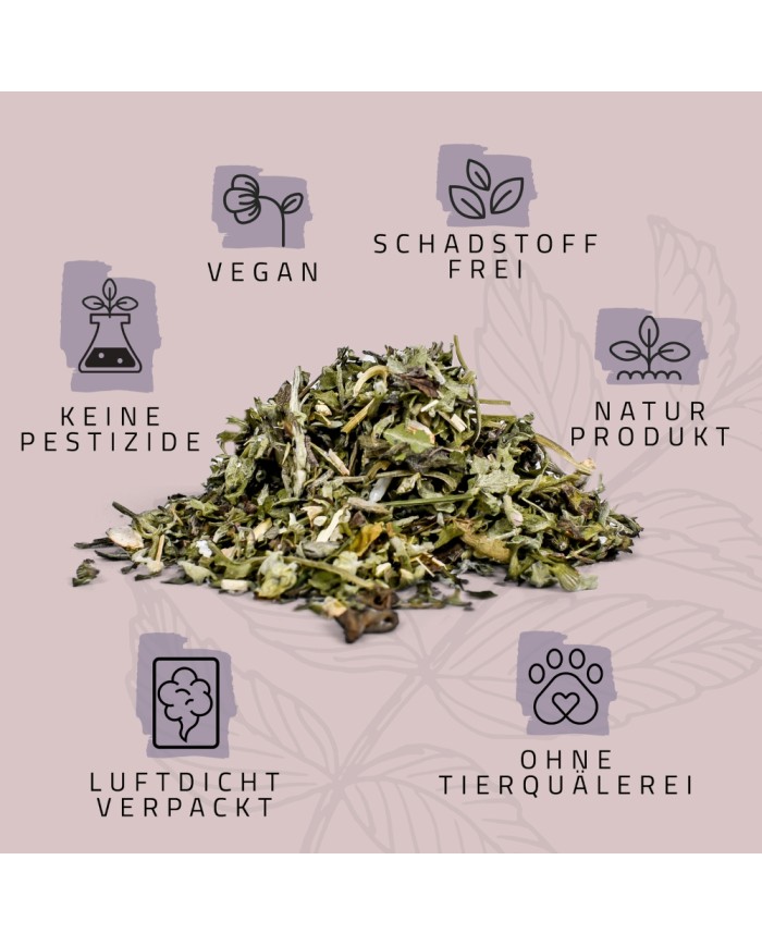 Katzenminze 3er Set in Geschenkbox