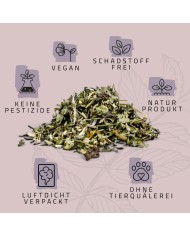 Katzenminze 3er Set in Geschenkbox