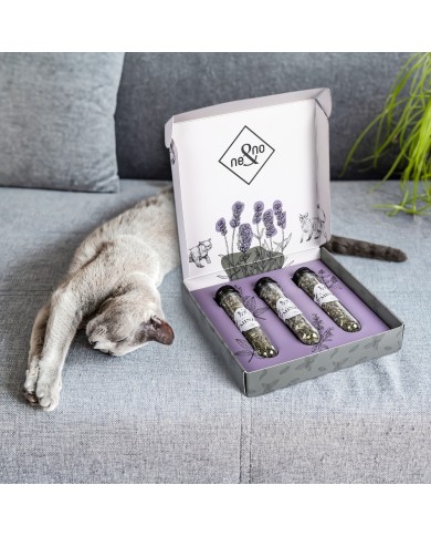 Katzenminze 3er Set in Geschenkbox