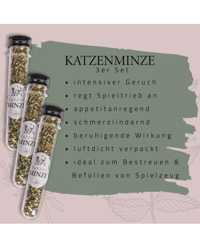 Katzenminze 3er Set in Geschenkbox