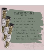 Katzenminze 3er Set in Geschenkbox
