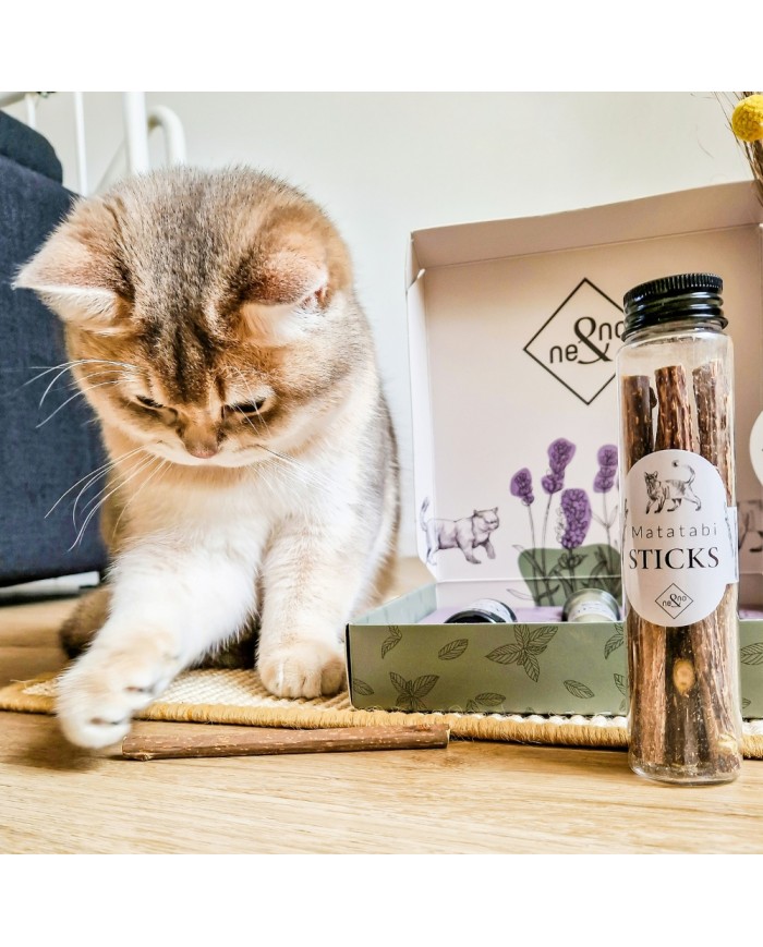 Exklusives Matabi-Sticks Geschenkset