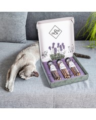 Exklusives Matabi-Sticks Geschenkset