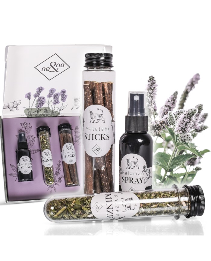 Premium Geschenkset für Katzen Mix