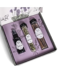 Premium Geschenkset für Katzen Mix