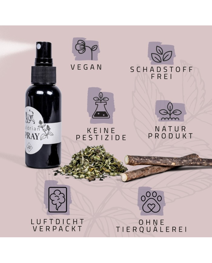 Premium Geschenkset für Katzen Mix