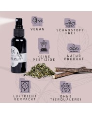 Premium Geschenkset für Katzen Mix