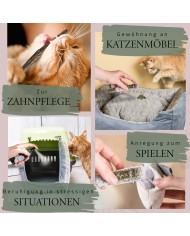 Premium Geschenkset für Katzen Mix