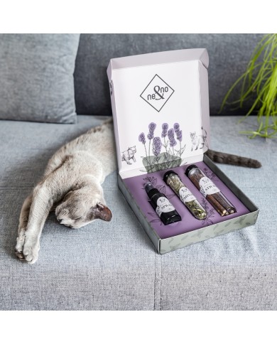 Premium Geschenkset für Katzen Mix
