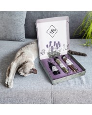 Premium Geschenkset für Katzen Mix