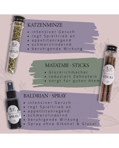 Premium Geschenkset für Katzen Mix