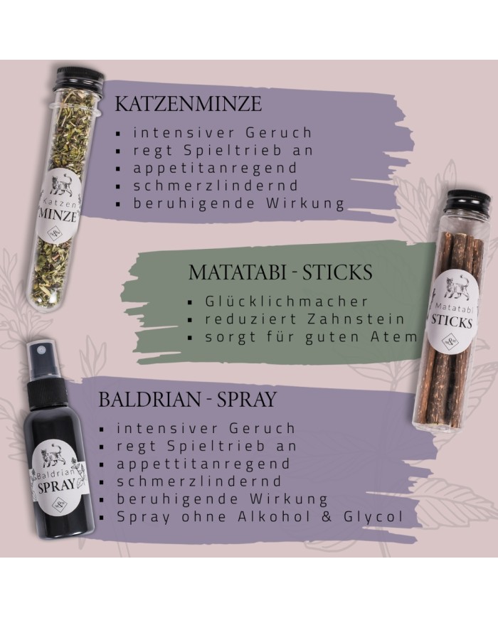 Premium Geschenkset für Katzen Mix
