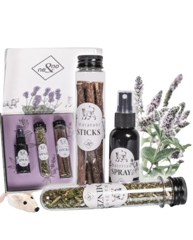 Premium Geschenkset für Katzen Mix